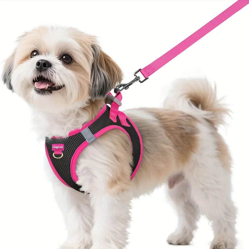 Dog Harness and Leash Set, Soft and Breathable Puppy Vest, Reflective Pet Harness for Night Use, Suitable for Small Dogs